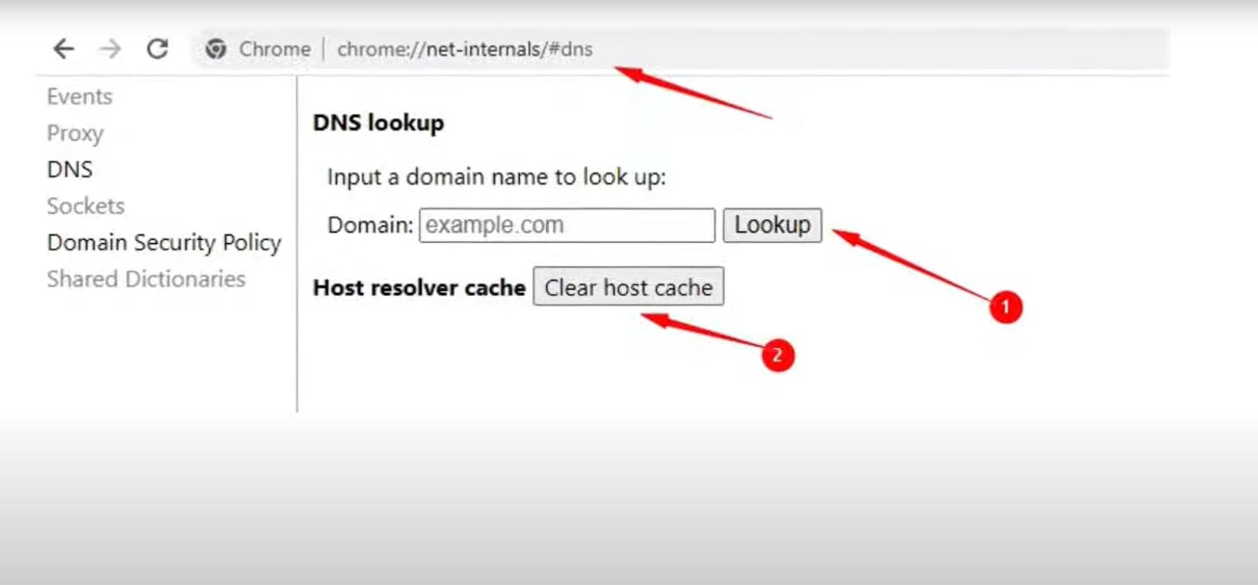 chrome net internals dNS